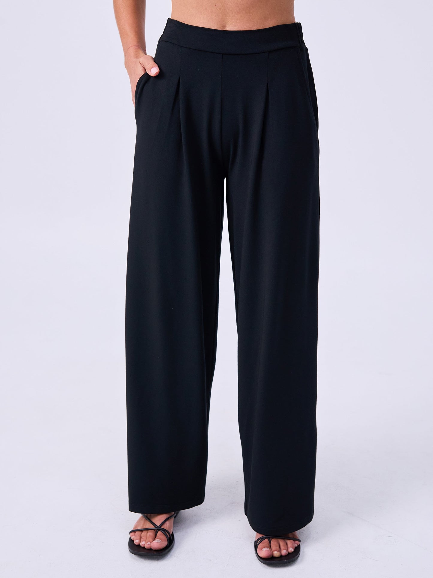 Pleat  Front Wide Leg Pants - Black