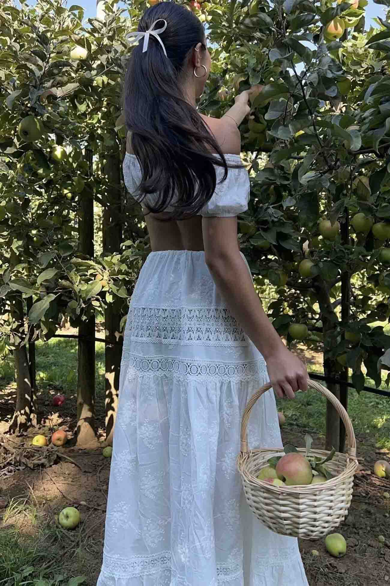 Solid Lace Crop Top Cutout Maxi Skirt Set